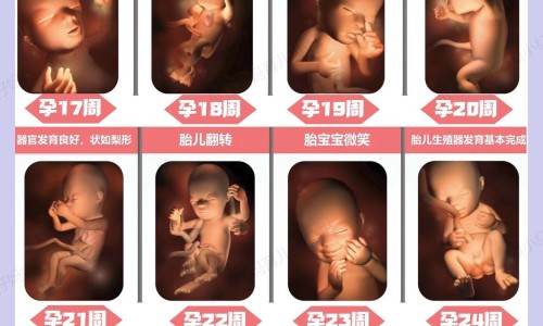 权威孕期拉肚子疼的厉害平台,分享专业怀孕拉肚子又痛怎么办知识_怀孕期间拉肚子的肚子疼是怎么回事网