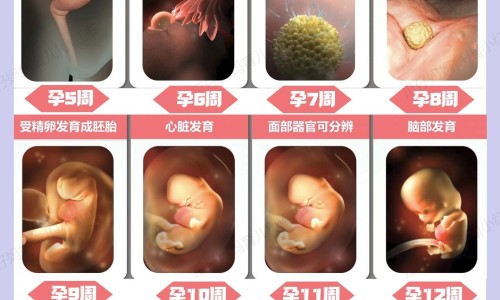 权威孕期拉肚子疼的厉害平台,分享专业怀孕拉肚子又痛怎么办知识_怀孕期间拉肚子的肚子疼是怎么回事网